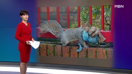 김주하의 2월 26일 '이 한 장의 사진'