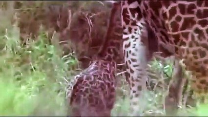 서천출장서비스 서천출장서비스O1OE2104E4640｛카톡YOK88｝ 서천출장마사지샵 서천출장안마on서천출장안마cos여3♪⇔∃마사지황형♥◨≪