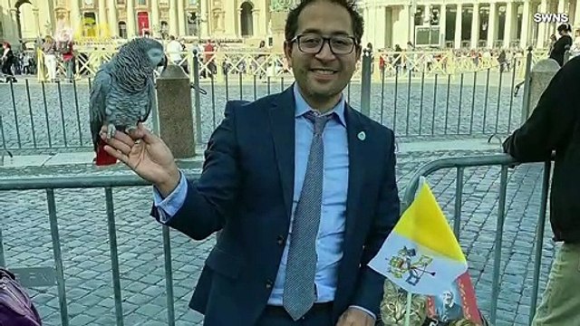 Meet the Traveling Cat Who Has Probably Visited More Famous Places Than You