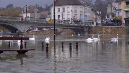 Plan de paysage Marne Confluence