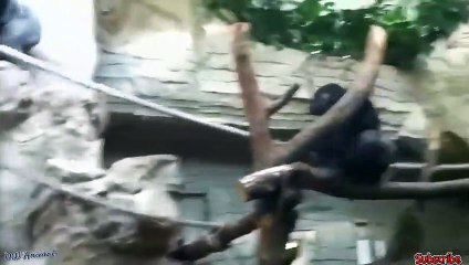 해운대출장서비스 해운대출장서비스O1Og2143g9131｛카톡KOM88｝ 해운대출장마사지샵 해운대출장안마on해운대출장안마cos여3♪⇔∃마사지황형♥⊇≪