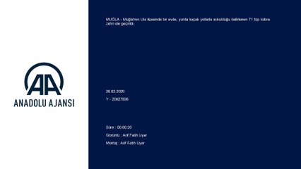 Muğla'da 71 tüp yılan zehri ele geçirildi