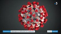 Coronavirus : Polémique sur l'efficacité d'un traitement à la chloroquine, un médicament couramment utilisé contre le paludisme