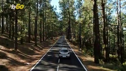 Why Road Trips Are A Favorite Kind of Vacation