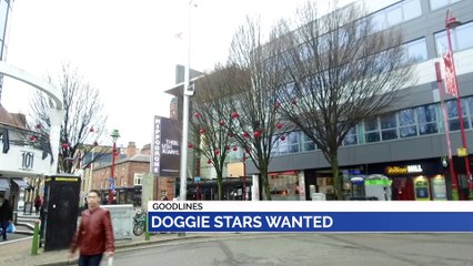 GOODLINES: 27th February 2020