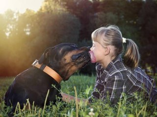 Why Do Dogs Lick? The Evolving Meaning of This Loving Gesture