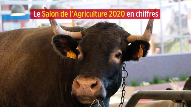Le Salon de l'Agriculture 2020 en chiffres