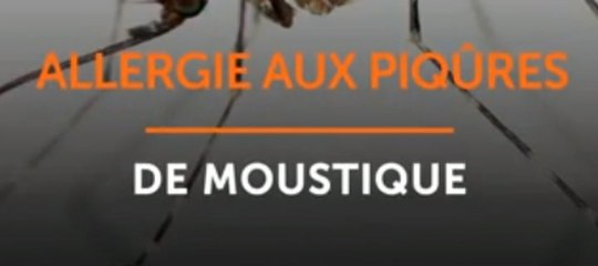 Allergie aux piqûres de moustique