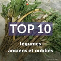 Légumes anciens et oubliés
