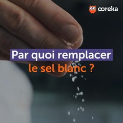 Par quoi remplacer le sel blanc