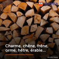 Les meilleurs bois de chauffage