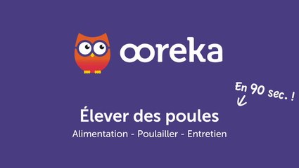 Élever des poules : alimentation, poulailler, entretien