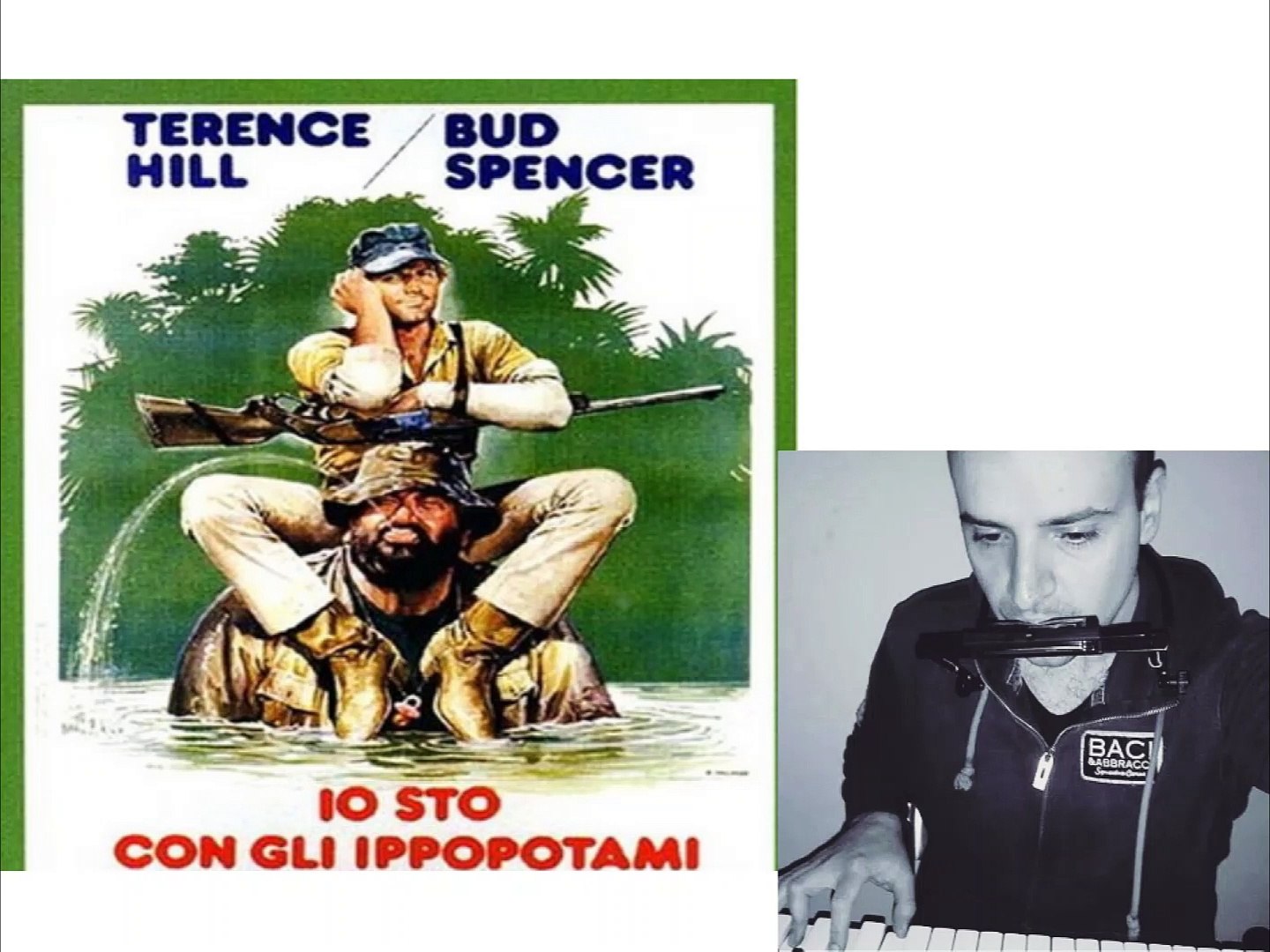 Io sto con gli ippopotami(Cover Armonica Solo) - Michele Annunziata - Video  Dailymotion