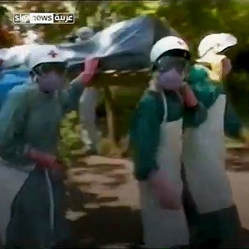 وباء كل عشرين سنة