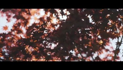 الشيخ عبدالباسط تلاوة نادرة من سورة مريم