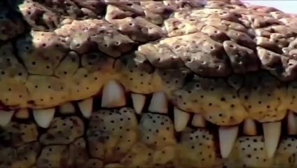 충주출장서비스 충주출장서비스O1OE6683E6402｛카톡GMC3 라인gmc3｝ 충주출장마사지샵 충주출장안마on충주출장안마cos여3♪⇔∃마사지황형♥◆≪