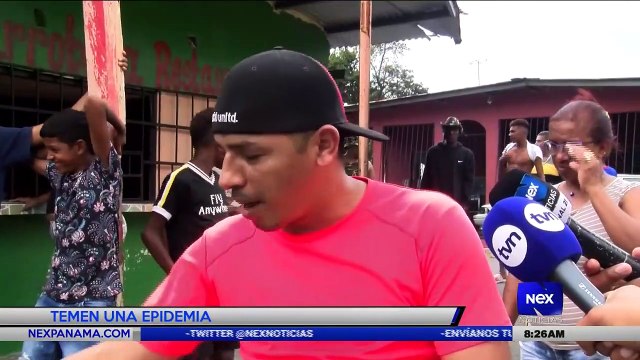 Mortalidad de peces en San Miguelito - Nex Noticias