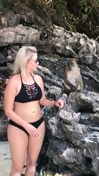 Ce singe ne se laisse pas toucher par cette touriste !