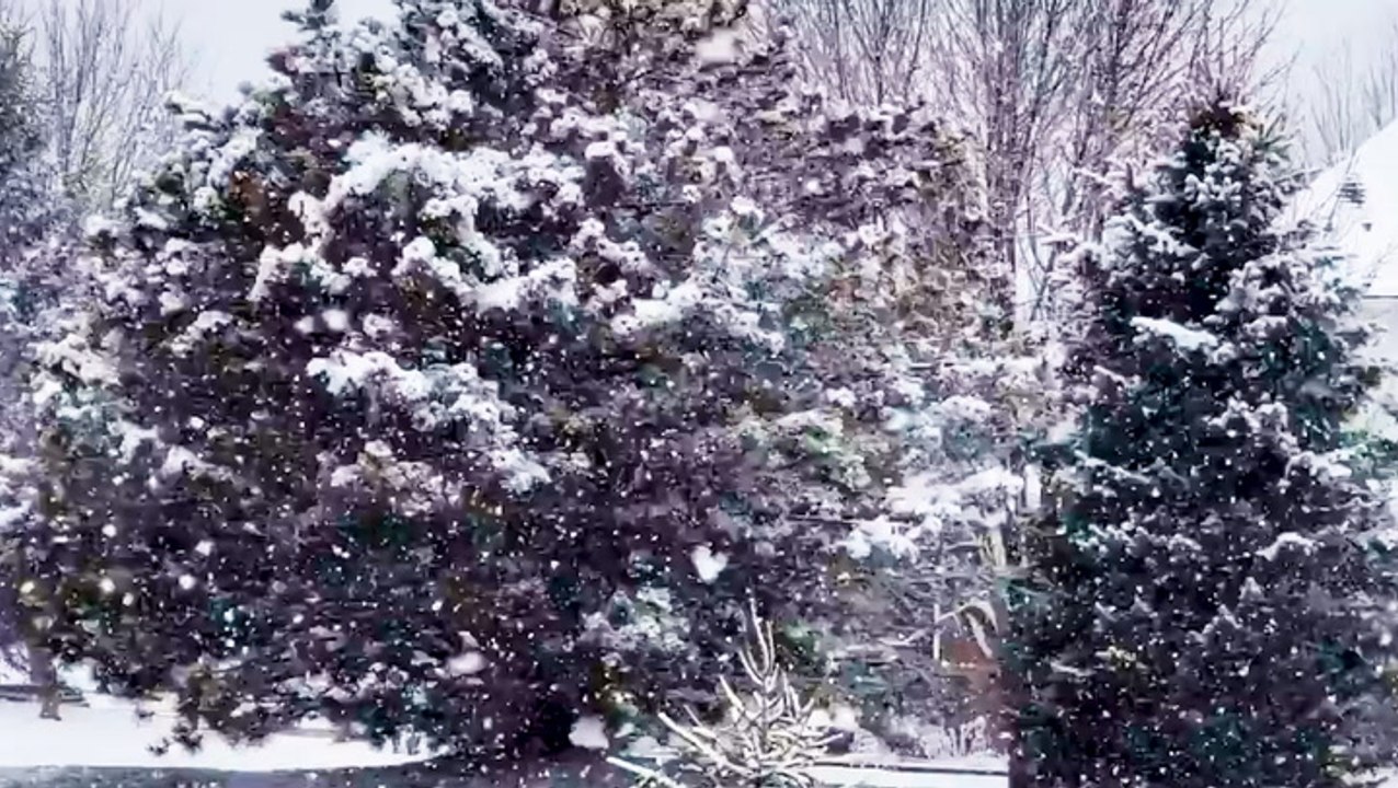 Big flakes fall in Carmel