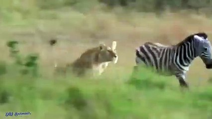 동두천출장서비스 동두천출장서비스O1Og2118g2518｛카톡KTX53｝ 동두천출장마사지샵 동두천출장안마on동두천출장안마cos여3♪⇔∃마사지황형♥≭≪