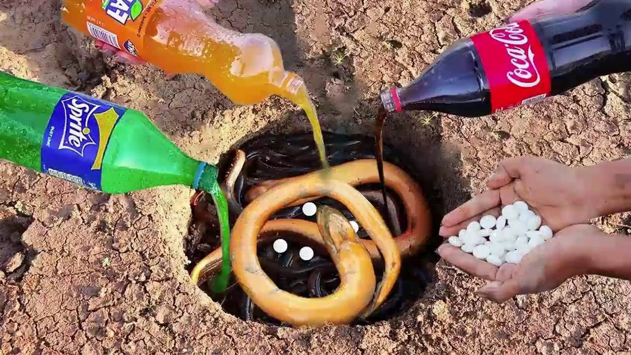 Experiment : Coca Cola,sprite,Fanta and Mentos Vs Eels Underground - Amazing Life Hacks Fishing