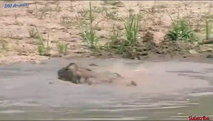 정선출장서비스 정선출장서비스O1Og2118g2518｛카톡KFC49｝ 정선출장마사지샵 정선출장안마on정선출장안마cos여3♪⇔∃마사지황형♥◉≪