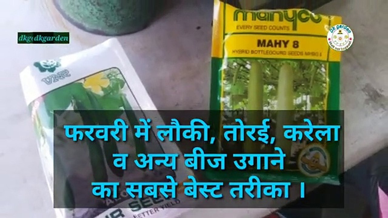 लौकी तोरी करेला कद्दू आज सब्जी वर्गी फसलों के बीज कैसे उगाए सबसे आसान तरीका।