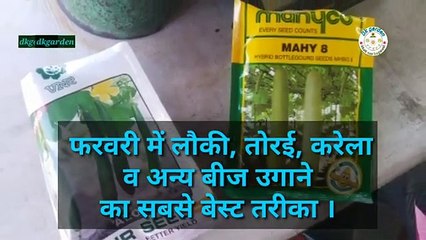 लौकी तोरी करेला कद्दू आज सब्जी वर्गी फसलों के बीज कैसे उगाए सबसे आसान तरीका।
