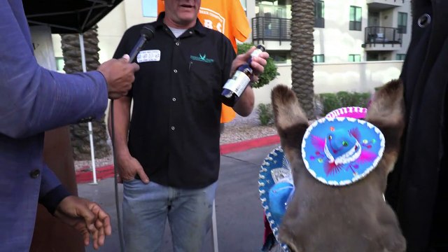 Cave Creek Beer Co and the Cave Creek Beer Festival