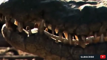 정읍출장서비스 정읍출장서비스O1OE6579E3382｛카톡RMB7｝ 정읍출장마사지샵 정읍출장안마on정읍출장안마cos여3♪⇔∃마사지황형♥≶≪