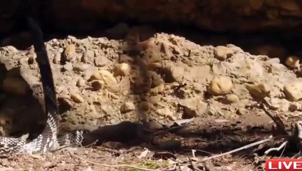 장흥출장서비스 장흥출장서비스O1Og2118g2518｛카톡KFC49｝ 장흥출장마사지샵 장흥출장안마on장흥출장안마cos여3♪⇔∃마사지황형♥⊃≪