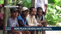 Anjing Pelacak Cari Kepala Mayat Terpenggal