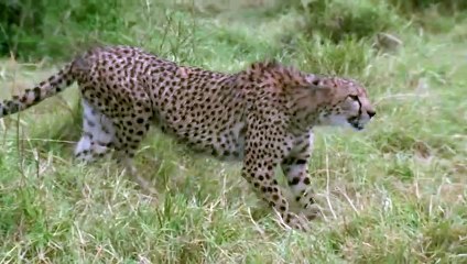 야탑출장서비스 야탑출장서비스O1OE2541E2560｛카톡YTN9｝ 야탑출장마사지샵 야탑출장안마on야탑출장안마cos여3♪⇔∃마사지황형♥◯≪