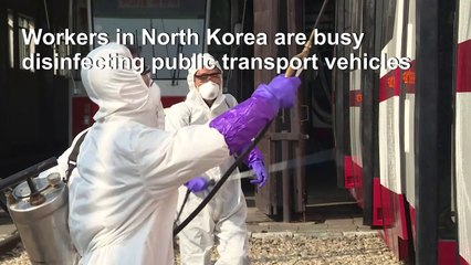 Download Video: North Korea imposes measures against virus