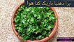Shan Chicken White Karahi -- White Chicken Karahi Recipe -- Pakistani Food Recipes