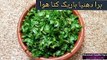 Shan Chicken White Karahi -- White Chicken Karahi Recipe -- Pakistani Food Recipes