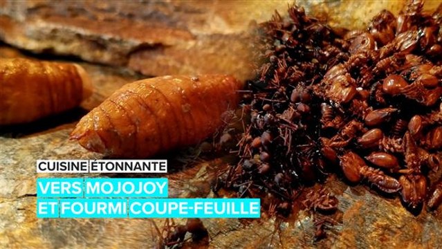 Cuisine étonnante : mangez des vers et des fourmis d'Amazonie
