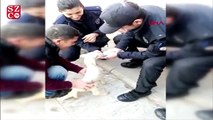 Polis, olay yeri incelemede kullanılan eldivenle kuzuya süt içirdi