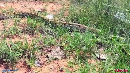 과천출장서비스 과천출장서비스O1OE2541E2560｛카톡SUV9｝ 과천출장마사지샵 과천출장안마on과천출장안마cos여3♪⇔∃마사지황형♥◩≪