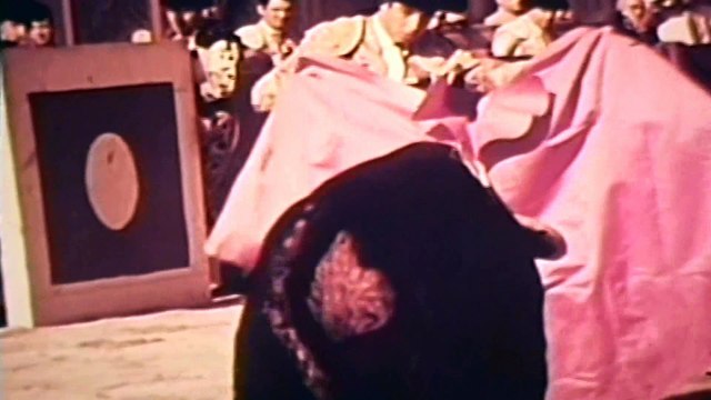 Olé Cordobes — MIGUEL CORDOBES