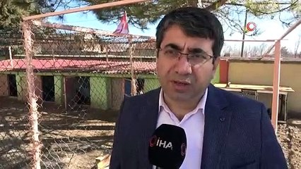 YEŞİL YUMURTALAR DEVAMSIZLIĞI AZALTTI