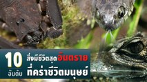 10 อันดับ สิ่งมีชีวิตสุดอันตรายที่คร่าชีวิตมนุษย์