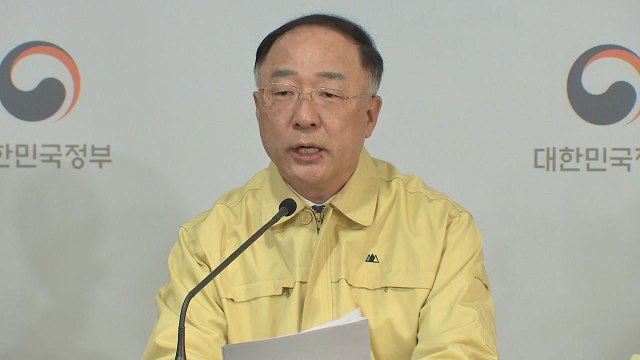 홍남기 민간임대인 임대료 인하 시, 정부가 절반 부담 / YTN