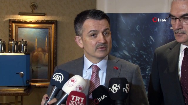 Tarım ve Orman Bakanı Bekir Pakdemirli:' Yangın kontrol altına alındı'