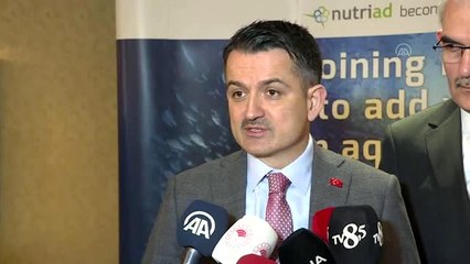 Tarım ve Orman Bakanı Pakdemirli - İmralı'da çıkan yangın