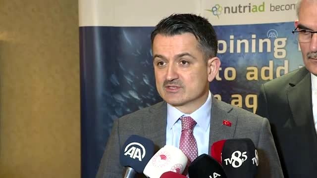 Tarım ve Orman Bakanı Pakdemirli - İmralı'da çıkan yangın