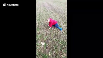 Dog pushes kid over unexpectedly in hilarious video