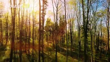 It's Worth Traveling To See These Natural Phenomena In Person