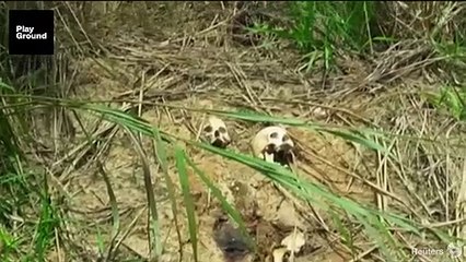 La ONU encuentra 17 fosas comunes en el Congo