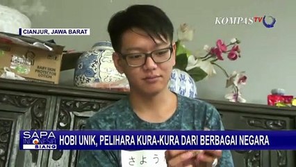 Unik! Hobi Pelihara Kura-kura dari Berbagai Negara